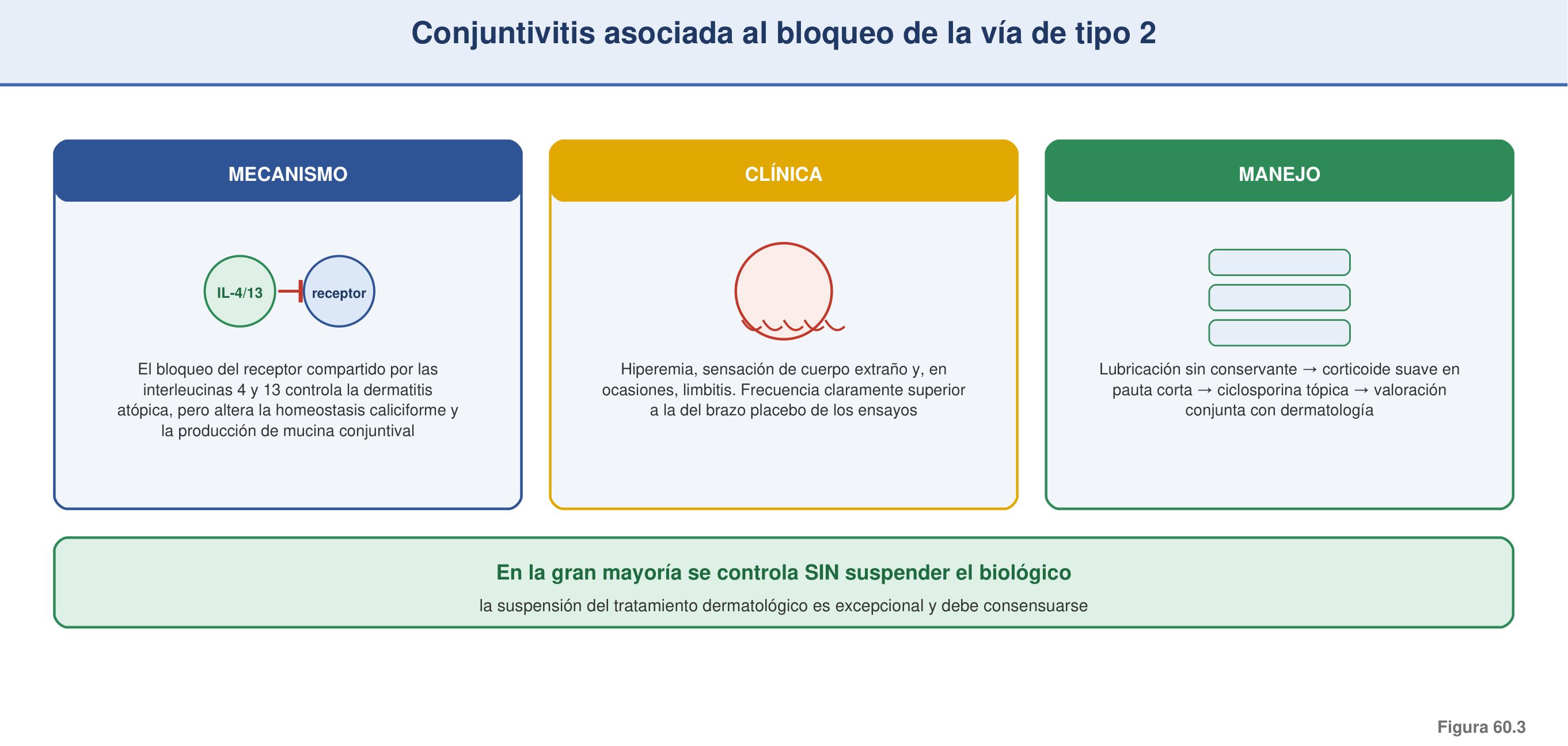 Figura 60.3 — Conjuntivitis asociada al bloqueo de la vía de tipo 2