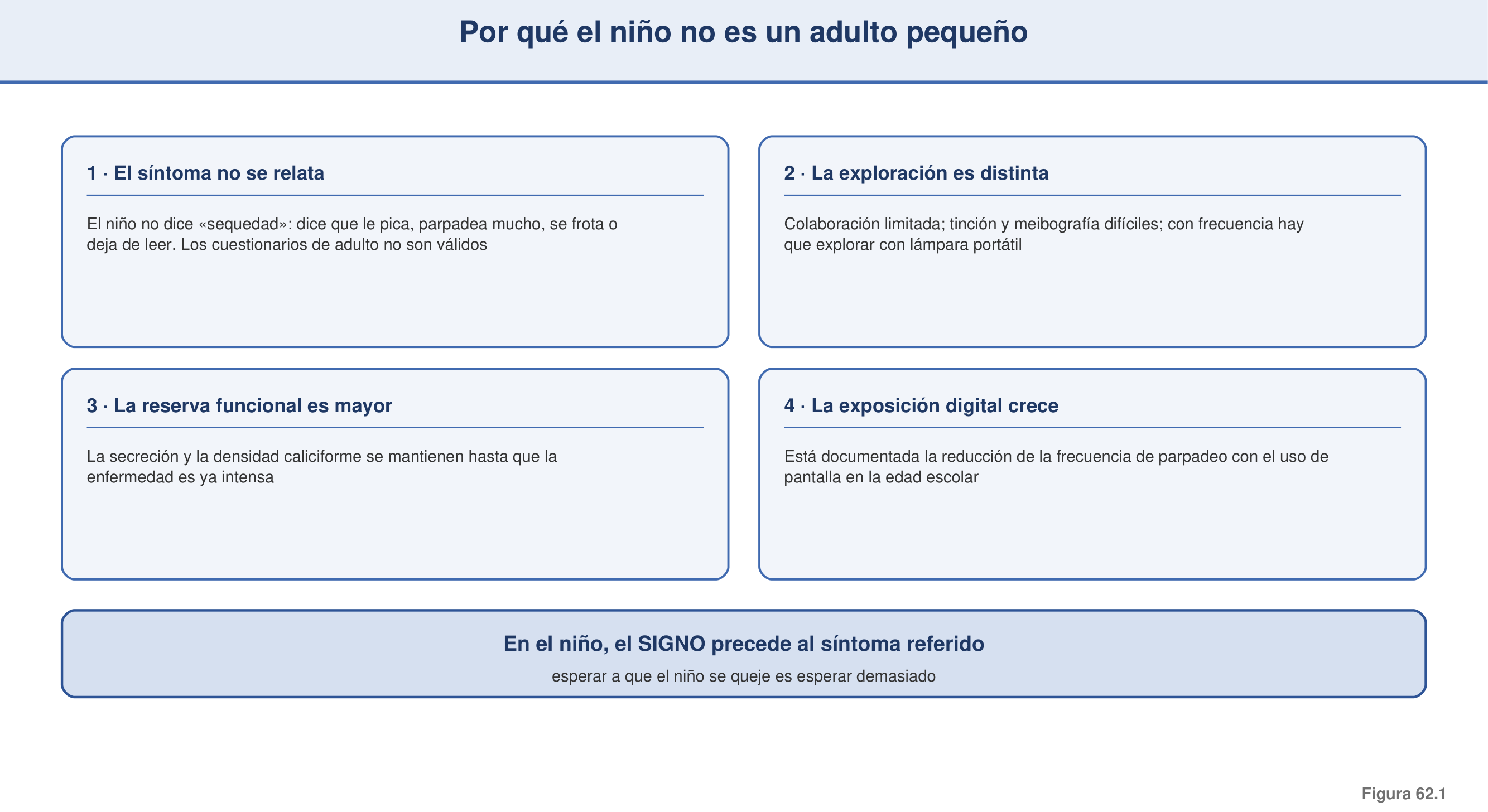 Figura 62.1 — Por qué el niño no es un adulto pequeño