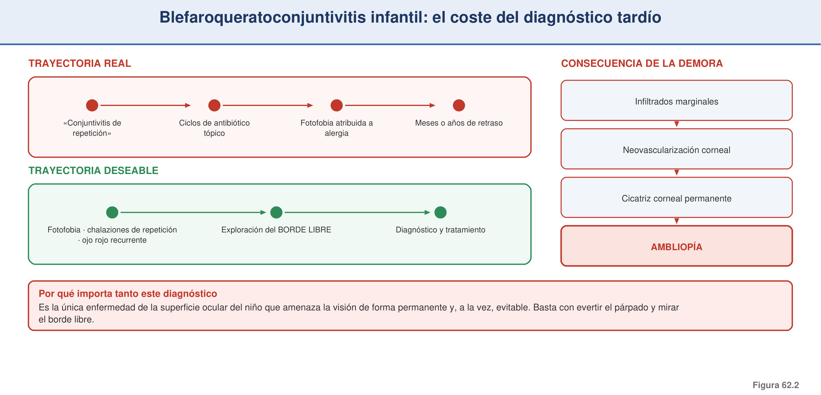 Figura 62.2 — Blefaroqueratoconjuntivitis infantil: el diagnóstico tardío