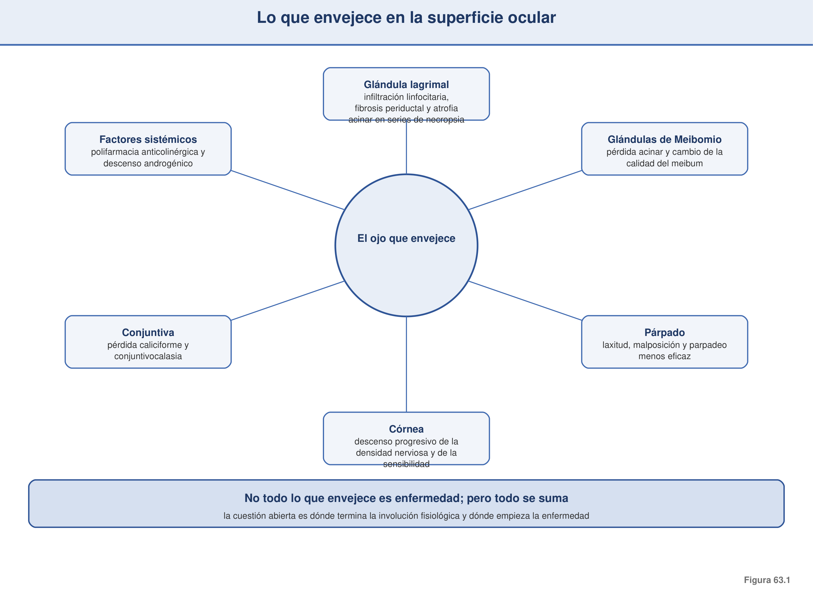 Figura 63.1 — Lo que envejece en la superficie ocular