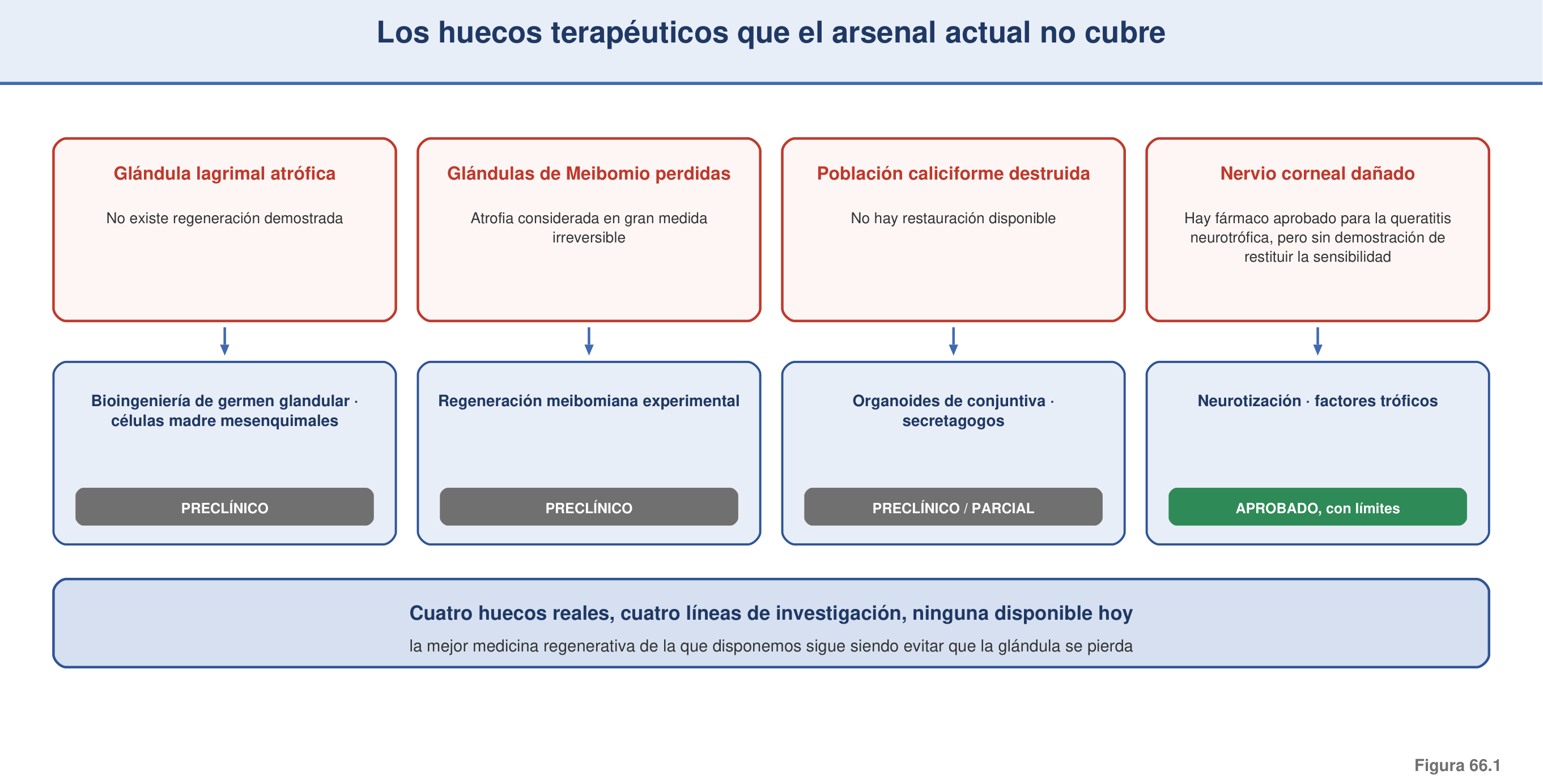 Figura 66.1 — Los huecos terapéuticos que el arsenal actual no cubre