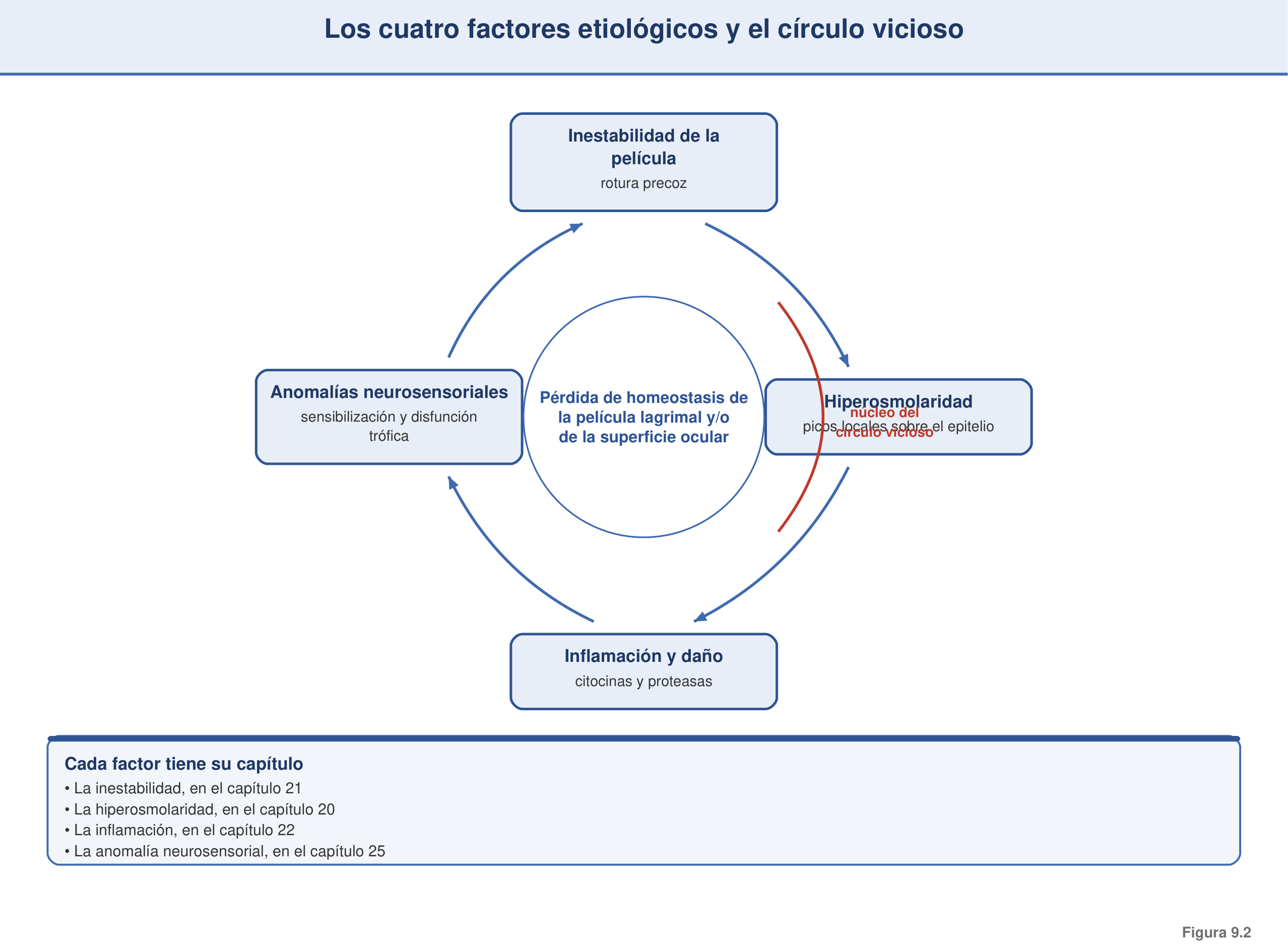 Figura 9.2 — Los cuatro factores etiológicos y el círculo vicioso