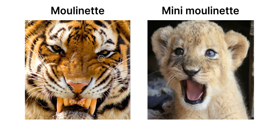 mini-moulinette