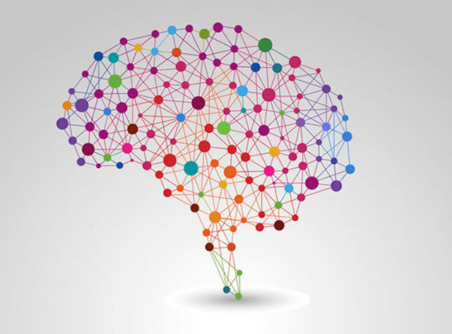 Brain_network