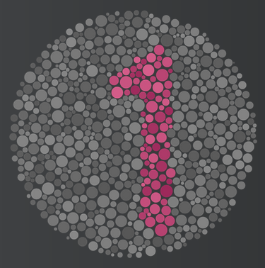 Ishihara Test Sample
