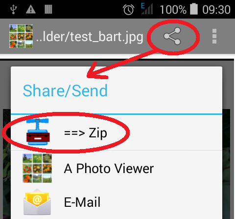 Share menu with ToGoZip entry