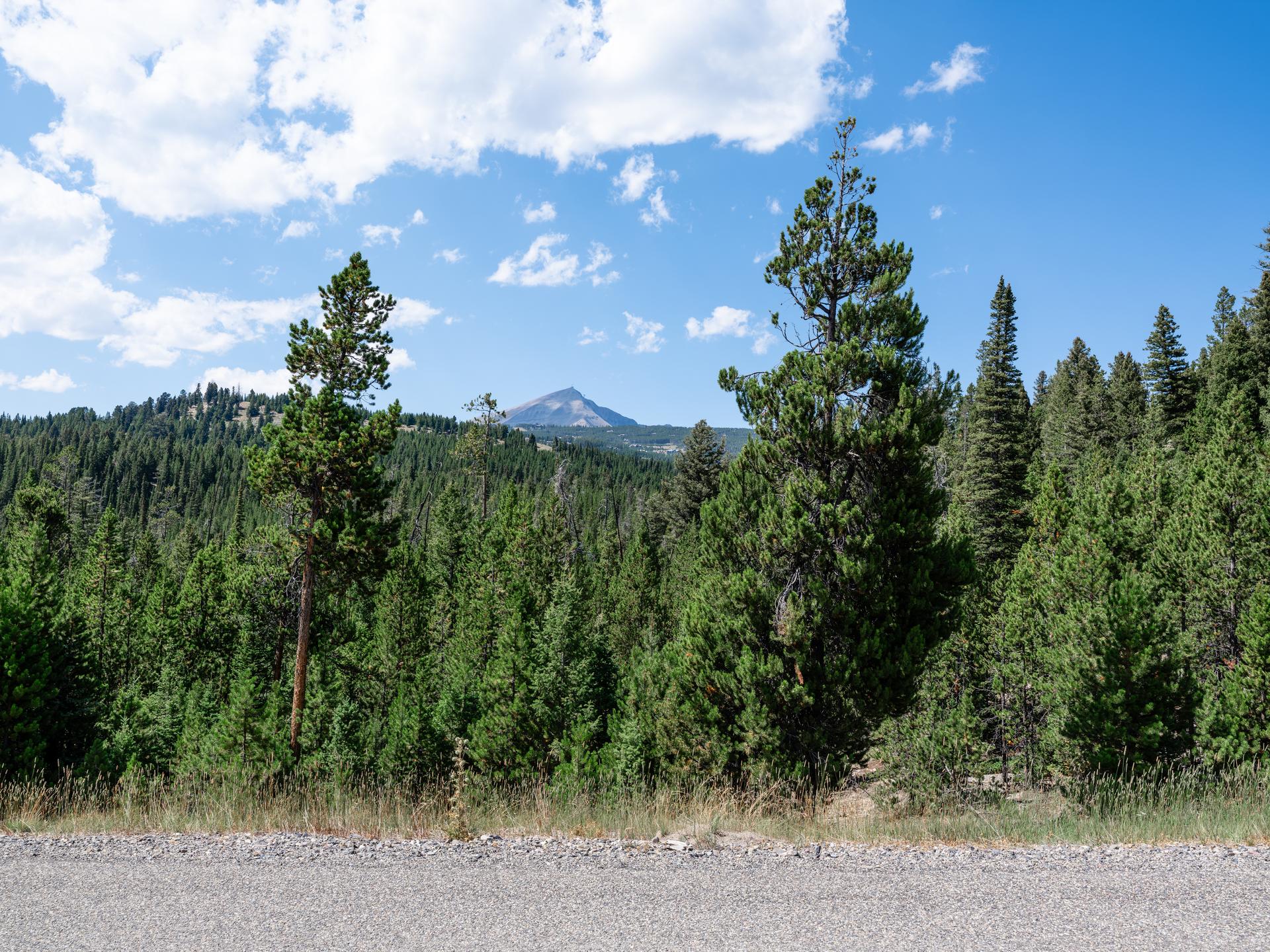 Lone Peak rising beyond the pines from the edge of the Lot 157 homesite at Seclusion Point