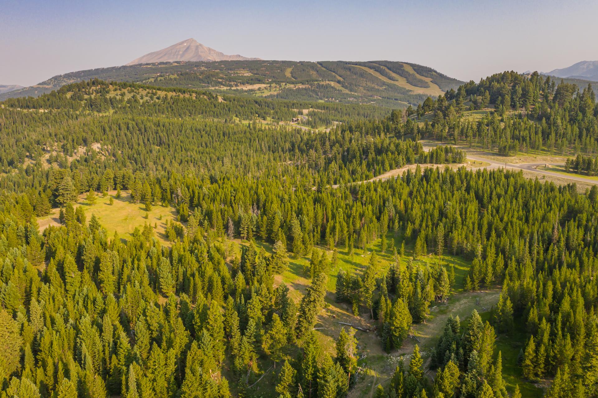 Gently sloped, lightly timbered ground in Wilderness Ridge at Spanish Peaks Mountain Club, seen from the air in summer