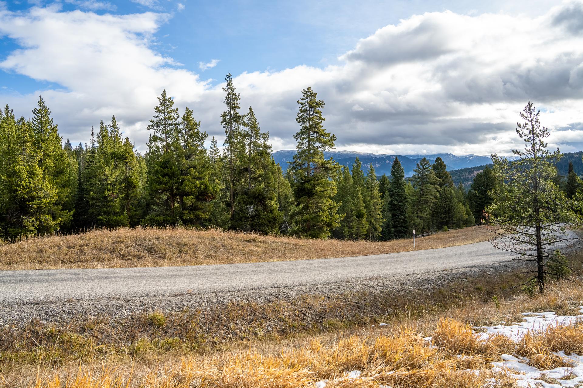 Lot 88 Crown Butte, a 2.03-acre homesite in the Ranches Neighborhood of Spanish Peaks Mountain Club, its open meadow frontage rising to a treeline of old-growth pines with the Gallatin Mountain Range beyond