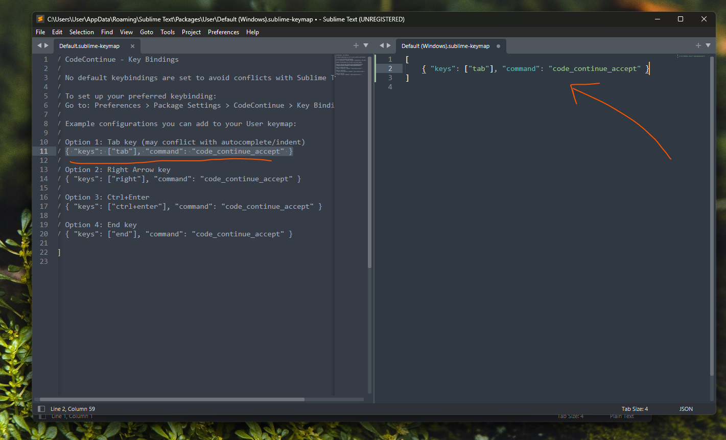 CodeContinue key binding - accept pane