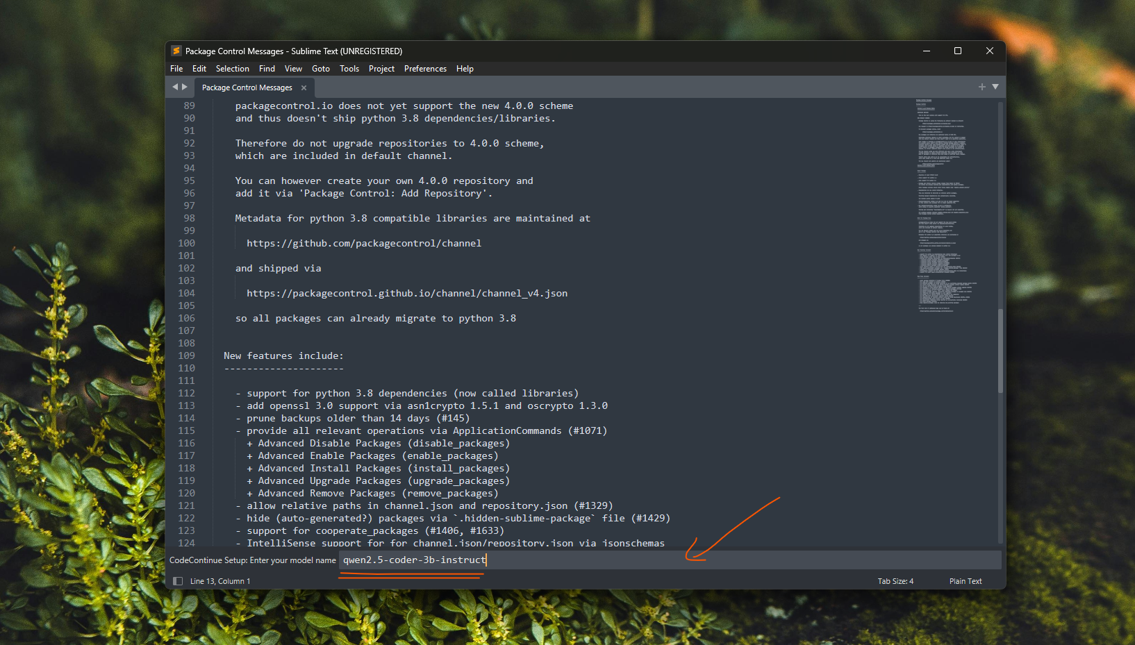 CodeContinue setup wizard - model name