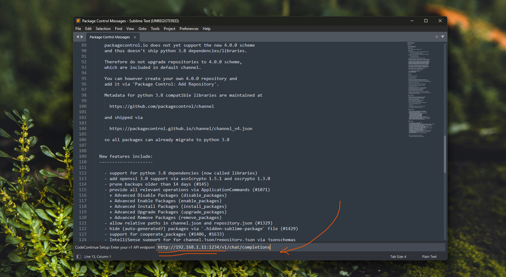 CodeContinue setup wizard - endpoint configuration