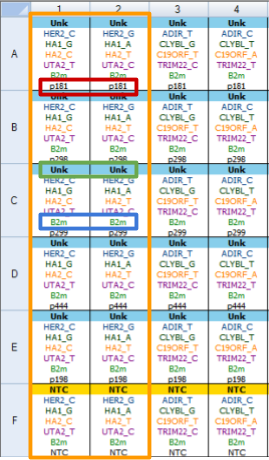 Figure 1. Plate Setup