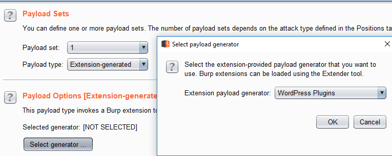 Intruder choose payload