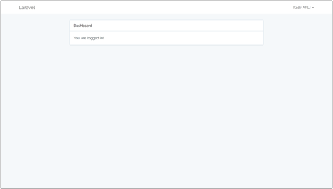 Laravel Loged In Page
