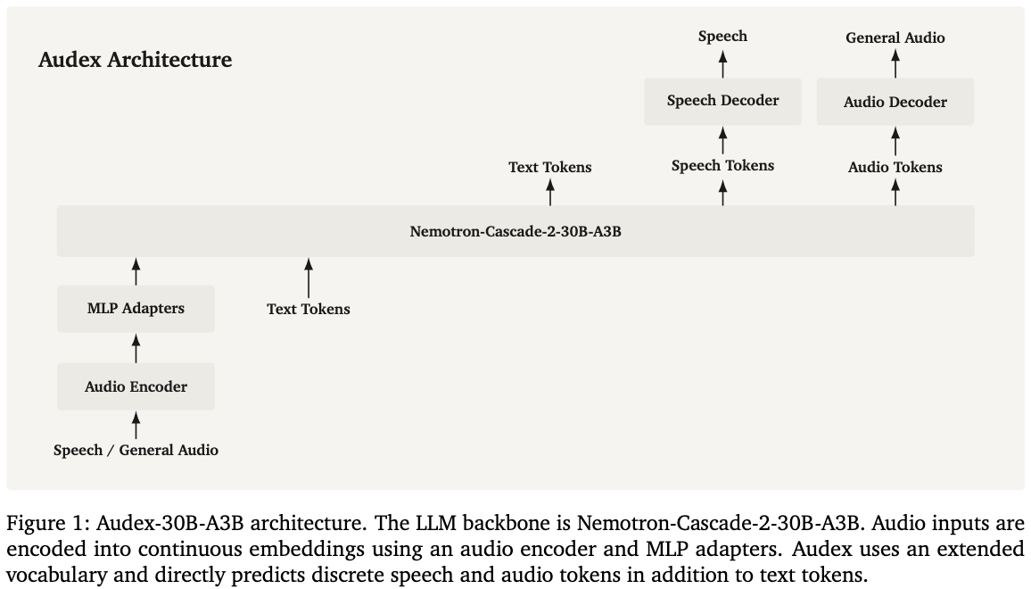 Nemotron-Labs-Audex 2B — Family figure — 30B variant