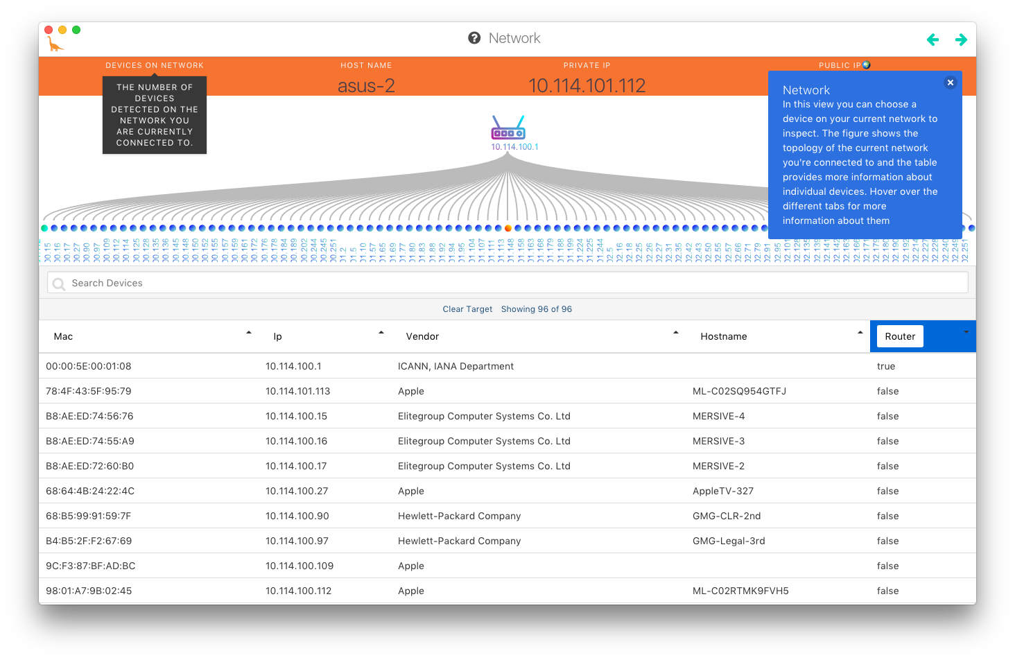 Network View