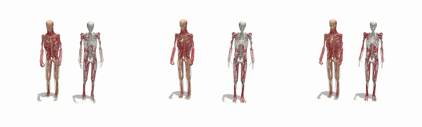 Simulation · MS-Human-700 and MyoFullBody tracking KIT clips at iteration 10000
