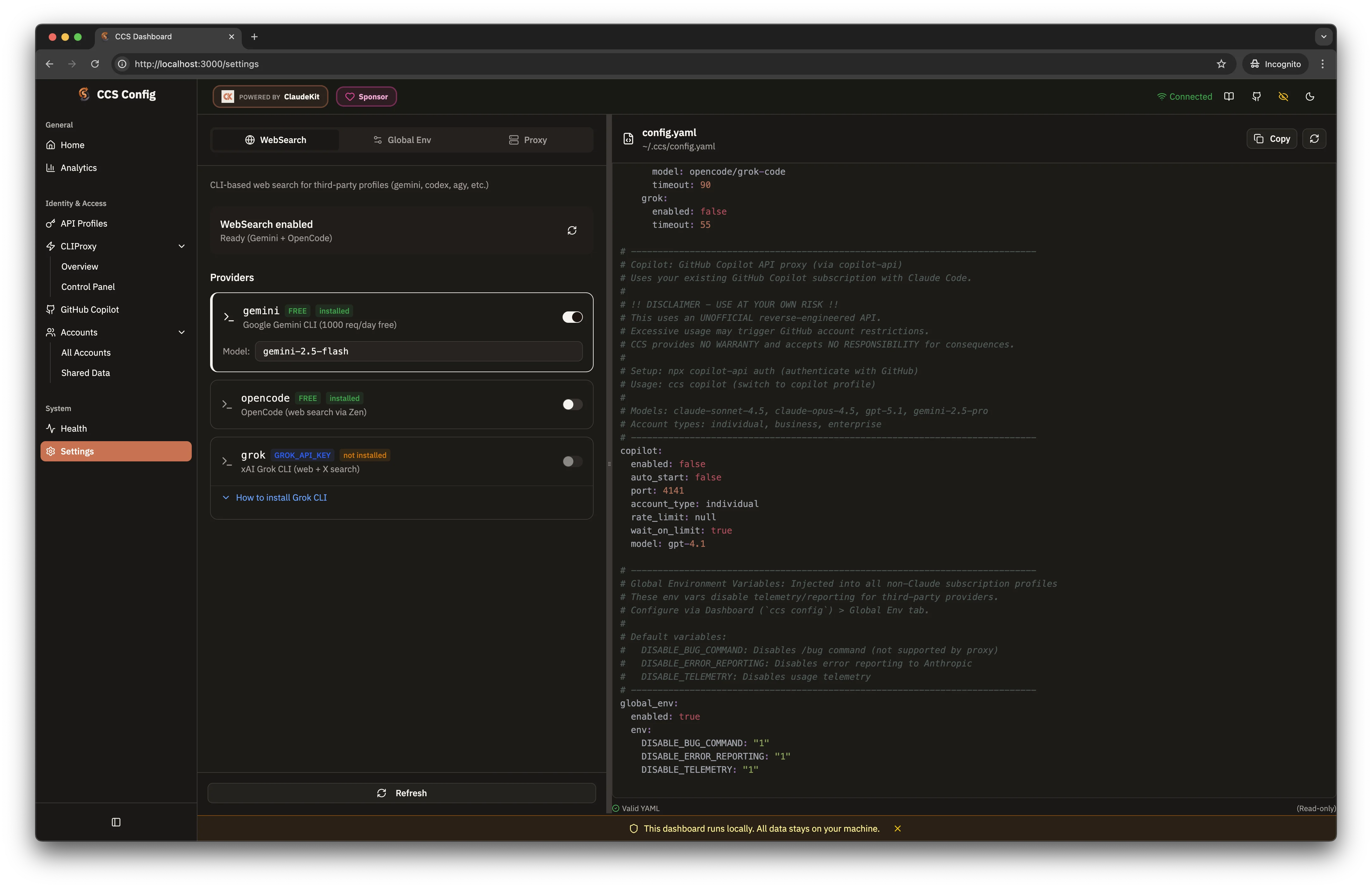 WebSearch Fallback