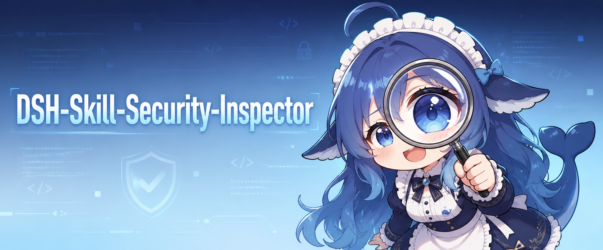 DSH Skill Security Inspector