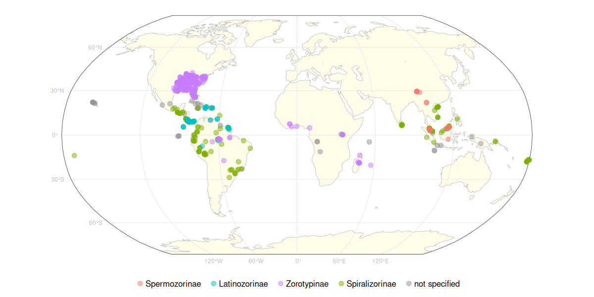 Map of Zoraptera subfamilies