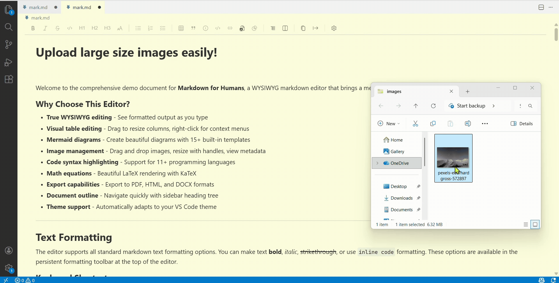 Large Size Image Suggestion