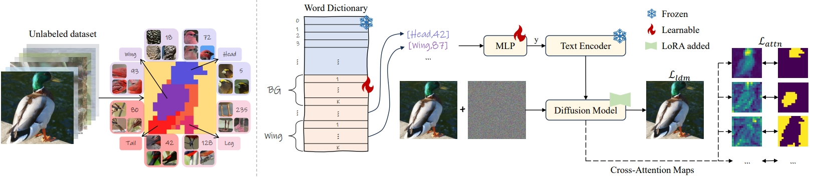 methodology