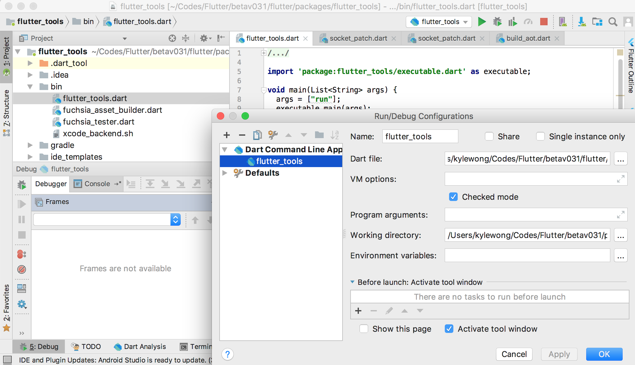 edit flutter_tools dart and debug it with given args