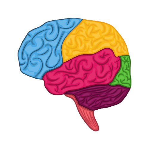 Brain_tumour_detection_using_mri_scans