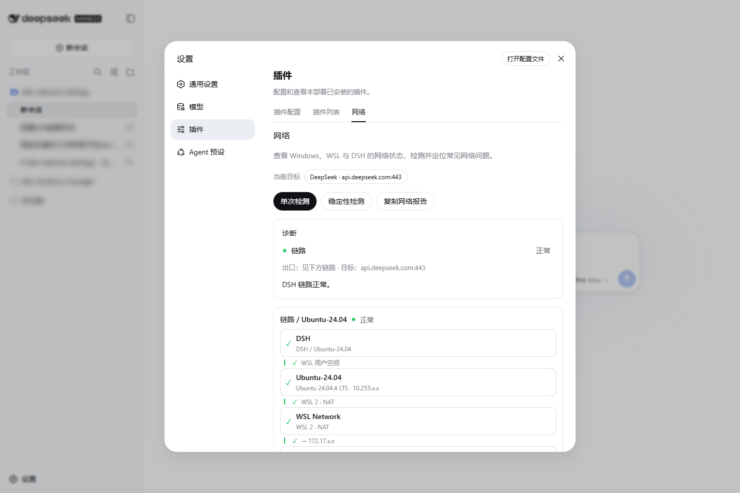 The plugin inside DSH
