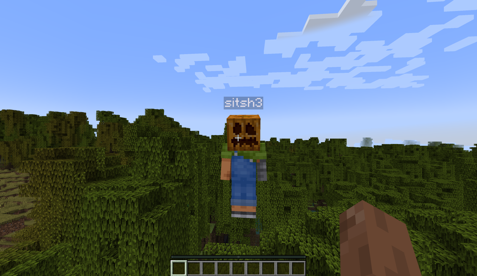 A player wearing a carved pumpkin is hidden