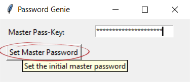 Set Master Password