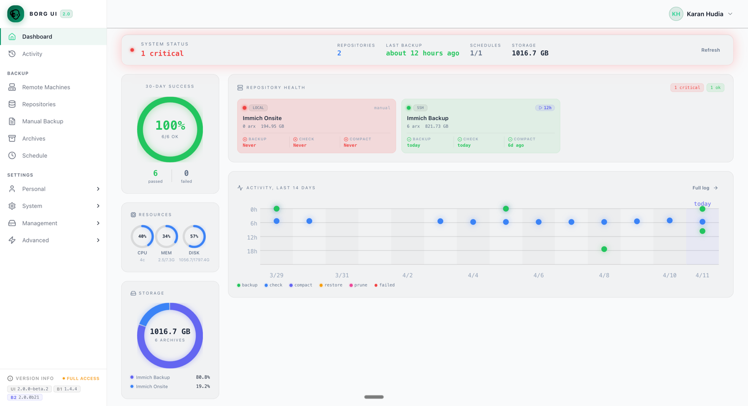 Borg UI dashboard