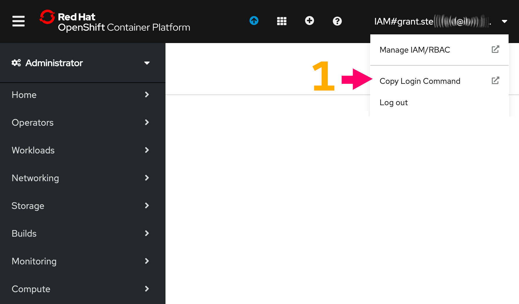 click on the CLI login dropdown option under your username