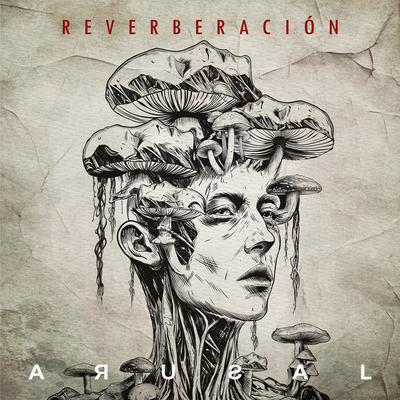 Arusal - Reverberación