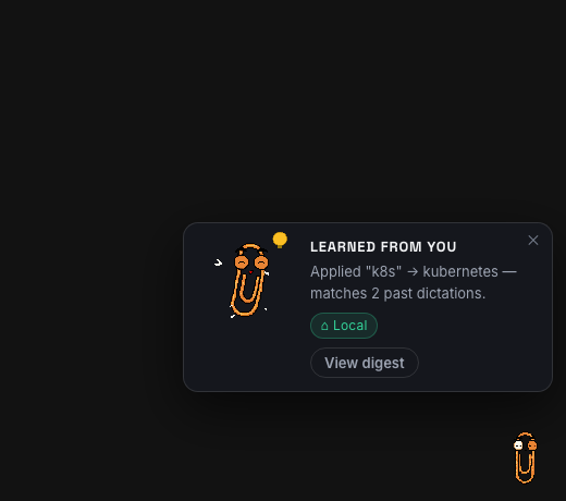 Qlippy's learned card: the mascot with a lightbulb, reporting that a correction was applied and matches 2 past dictations, with its local badge and a View digest button.