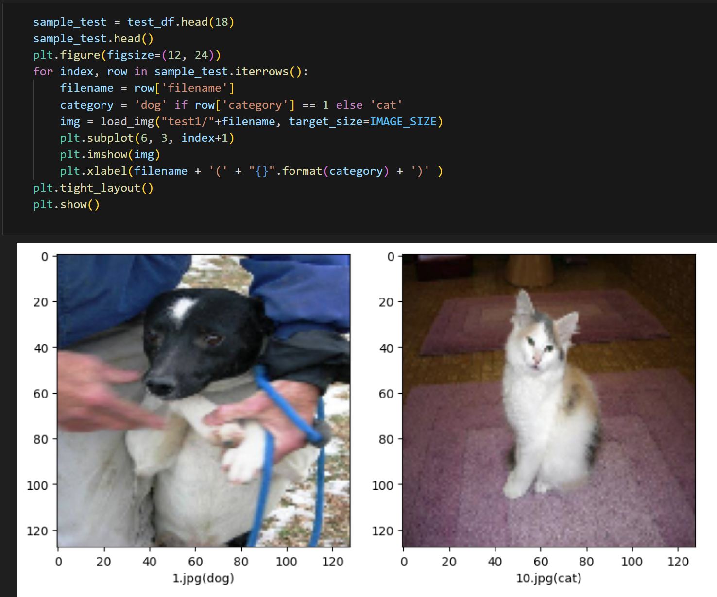 A collage of a dog and a cat Description automatically generated