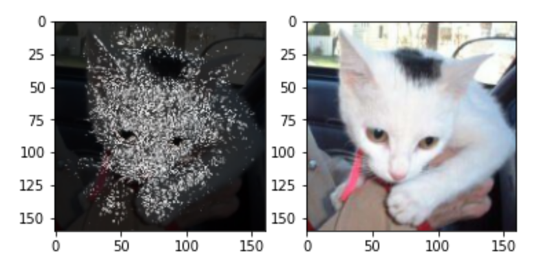 Integrated Gradients Image Explanation