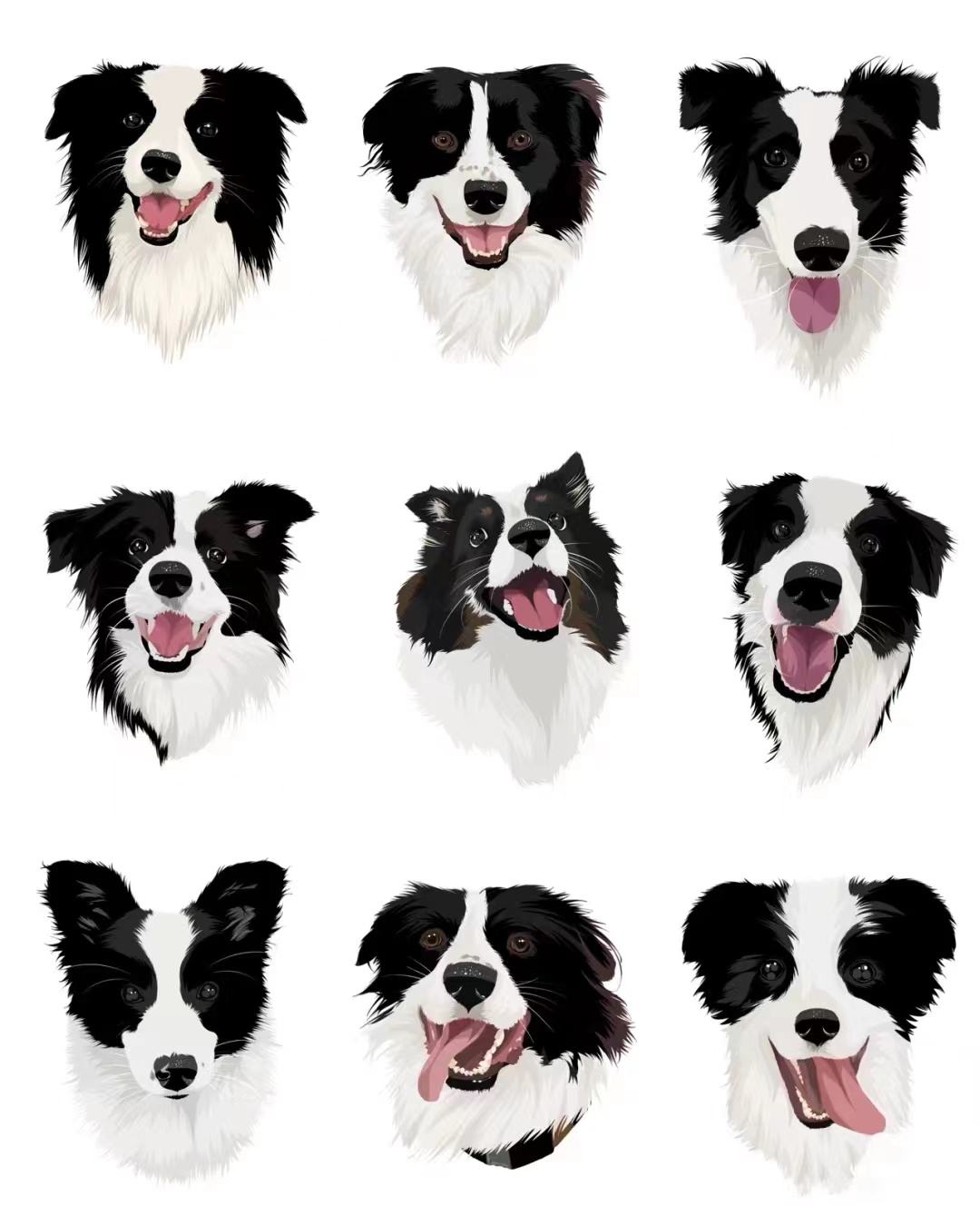 Collie #17