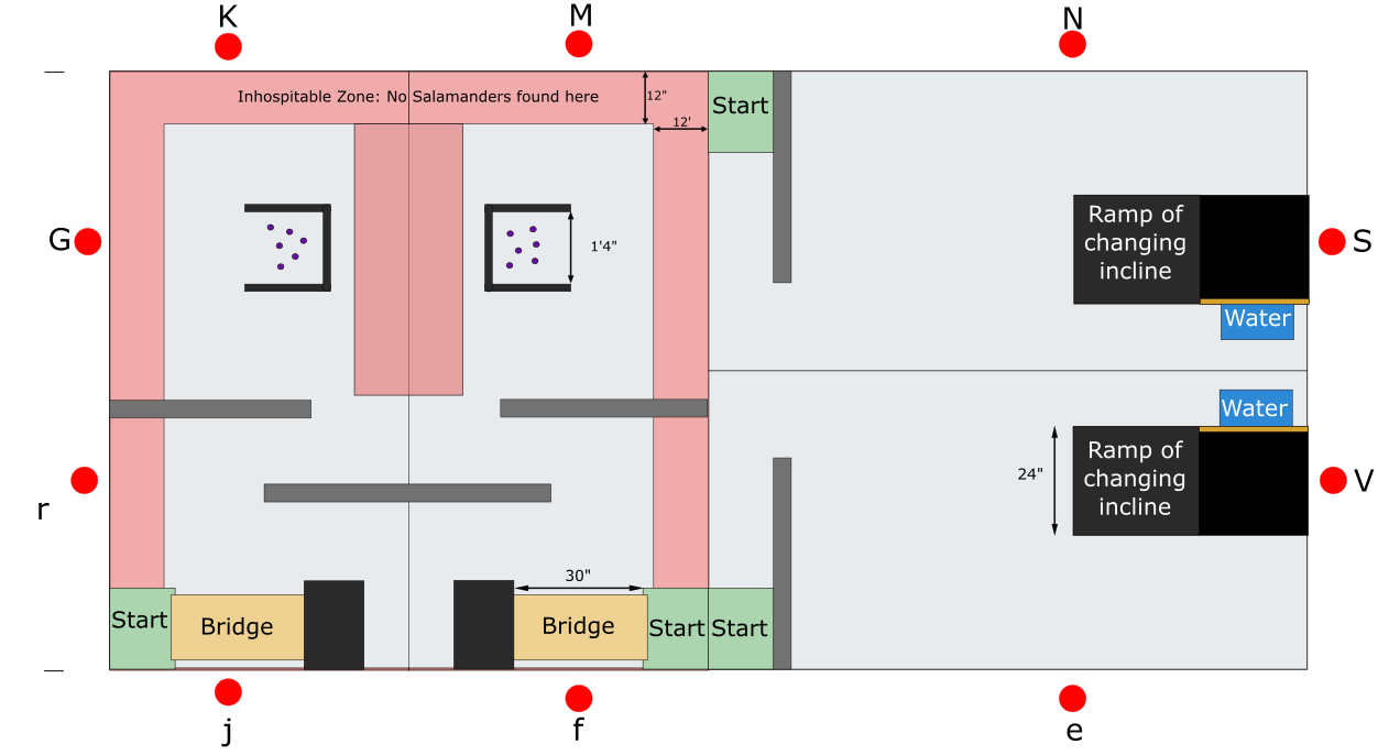 Course Plan