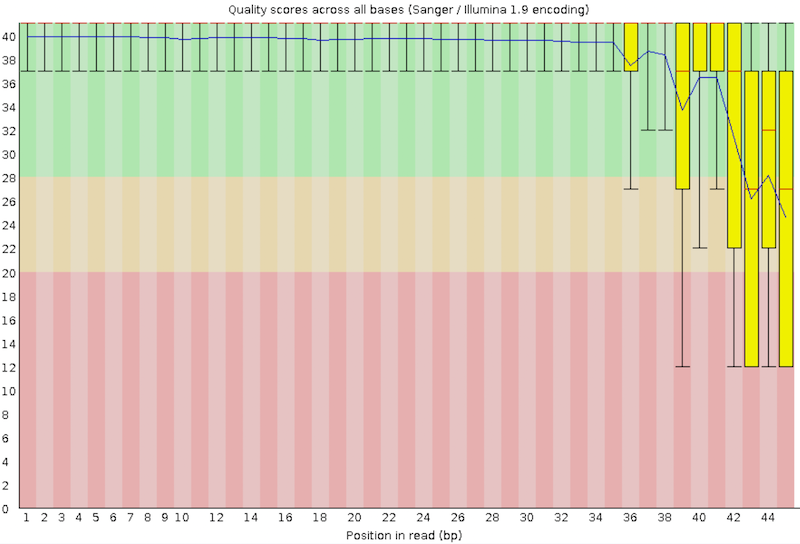 Per base sequence quality