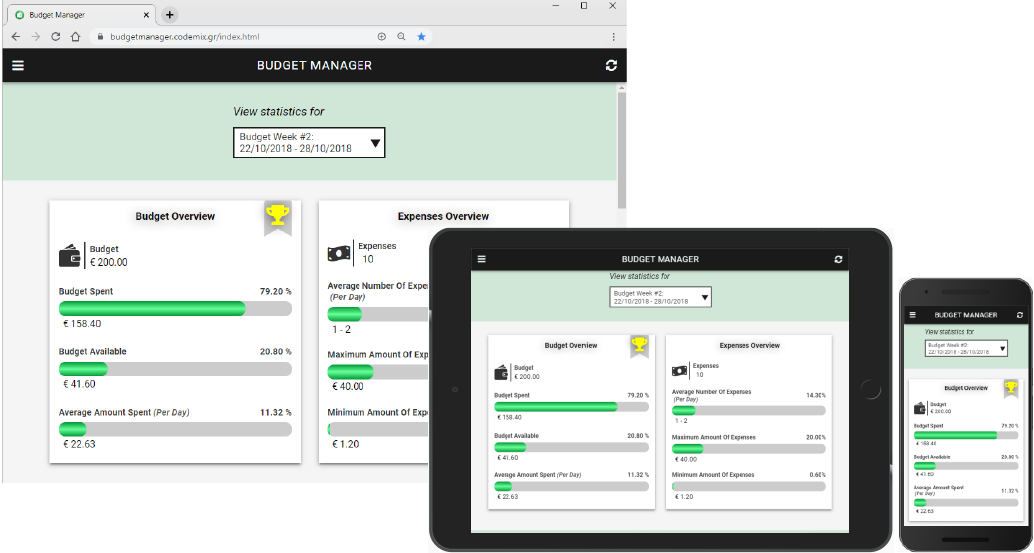 budget_manager_ems_app responsive layout