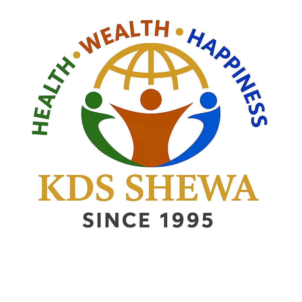 KDS SHEWA ENTERPRISE logo