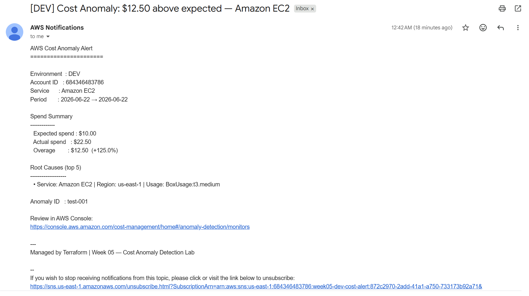 Formatted cost anomaly email