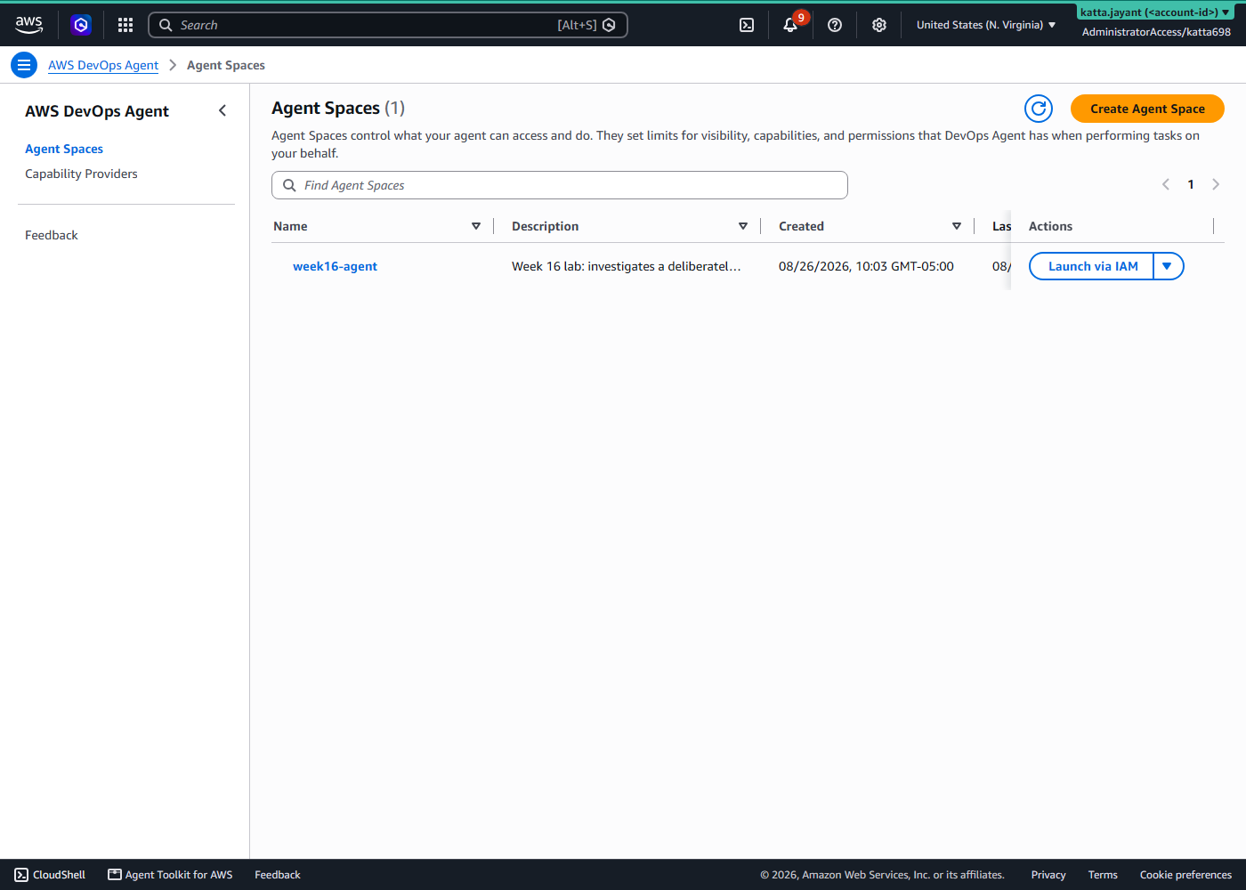 AWS DevOps Agent console listing one agent space named week16-agent