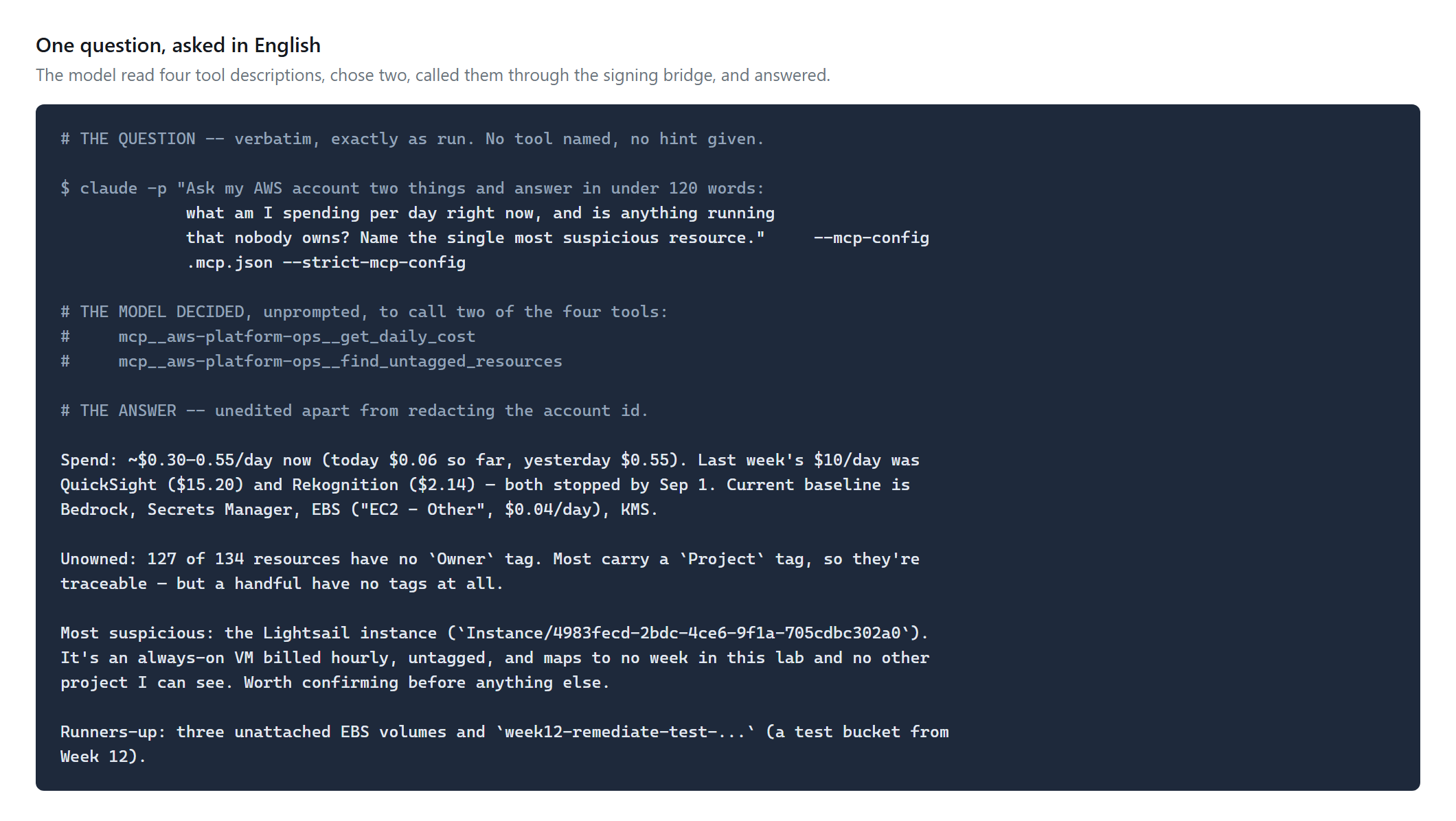 The verbatim question, the two tools the model chose to call, and its unedited answer naming a Lightsail instance