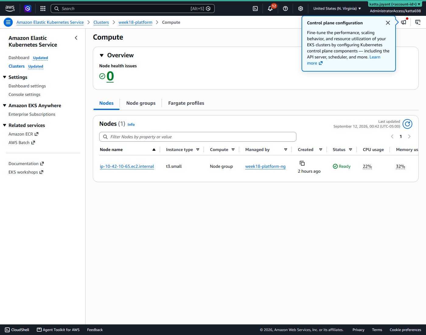The EKS console showing one t3.small node in Ready state, managed by the week18-platform node group