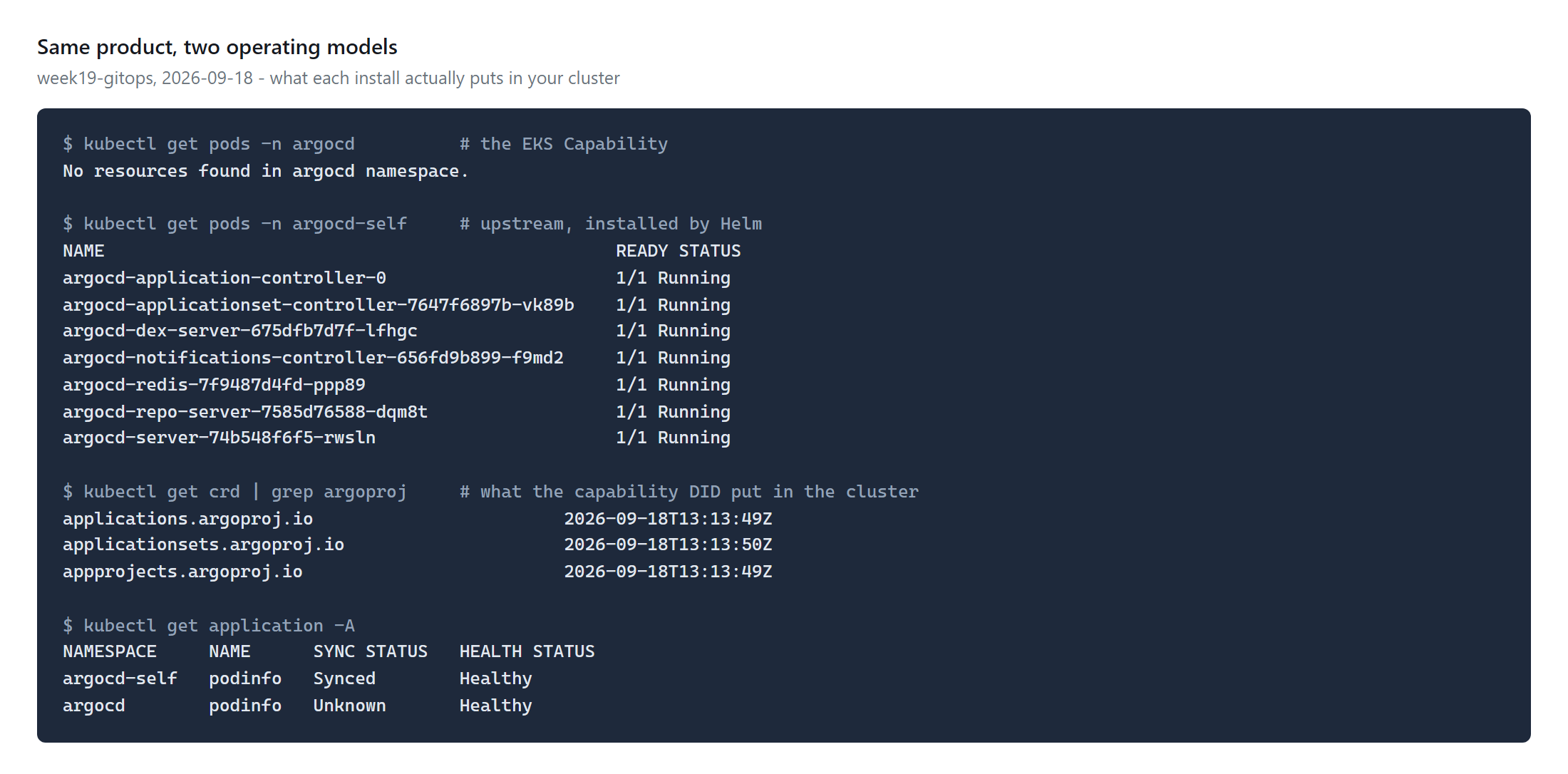 kubectl showing no pods in the argocd namespace, seven pods in argocd-self, the three argoproj CRDs, and both Applications
