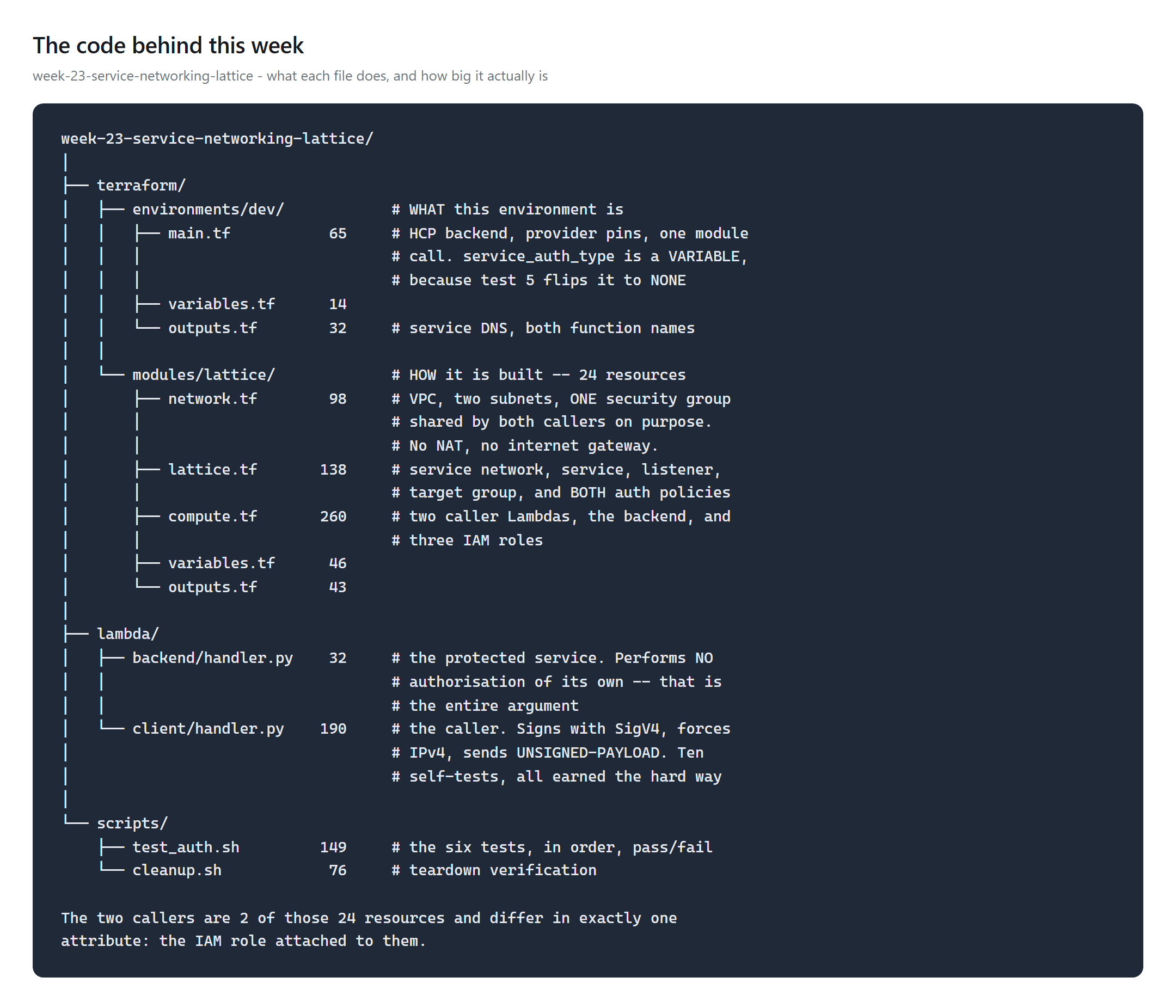 File tree for week 23 with per-file line counts, showing the lattice module split into network, lattice and compute, and two Lambda handlers