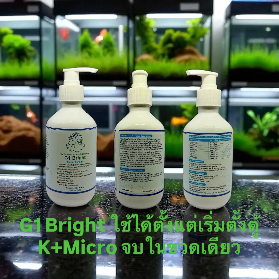 ตู้ไม้น้ำที่สวยงามสมบูรณ์